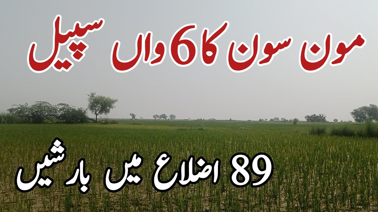 Monsoon 2025 | Pakistan weather forecast | Weather update today |