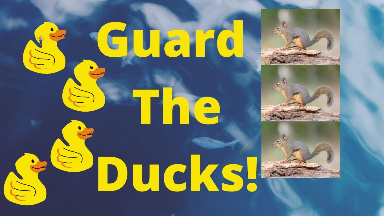 Adventure Academy: Guard the ducks! #47