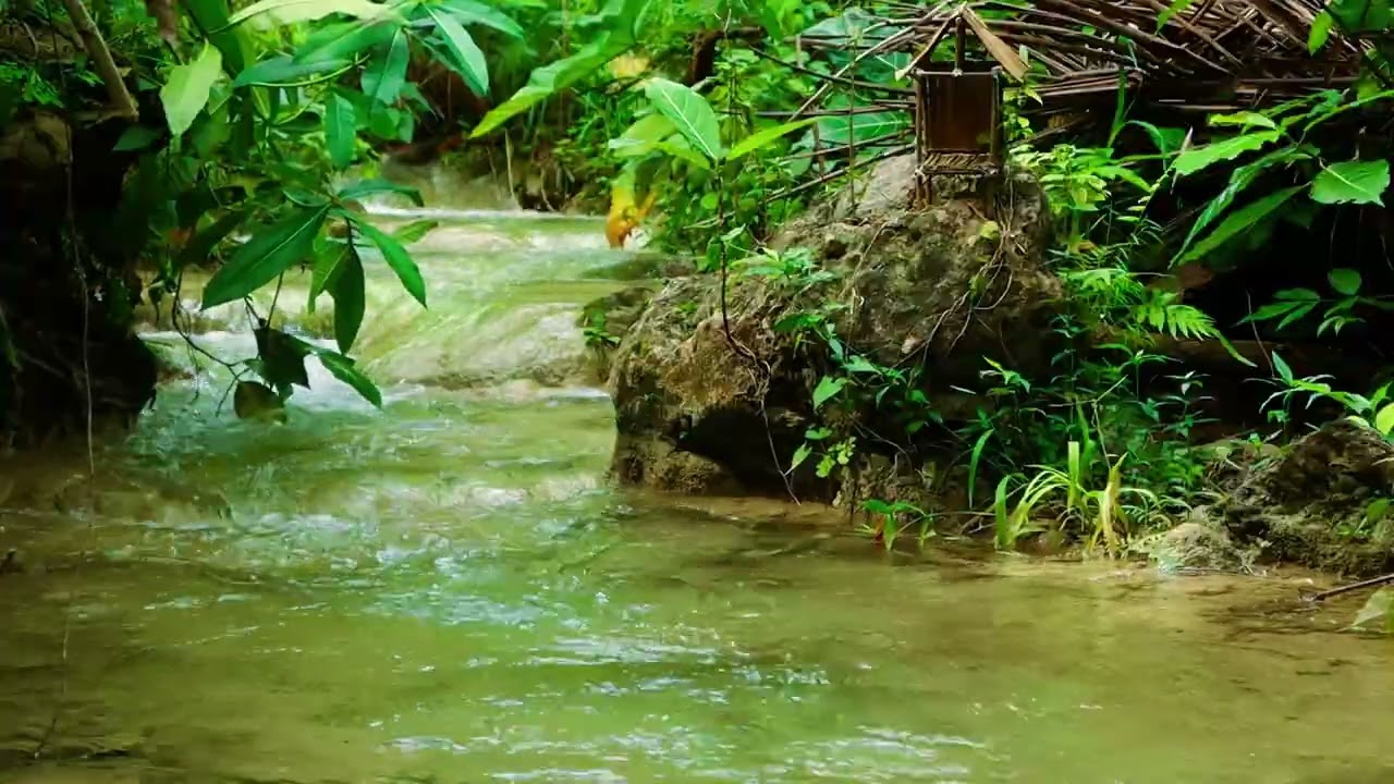 Forest Hut & River Sounds for Relaxing #RelaxingSounds