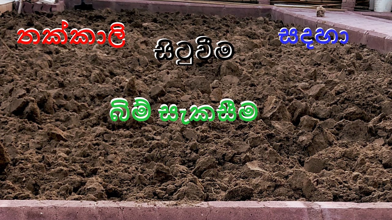 bim sakas kirima /තක්කාලි වගාව කිරීම සදහා බිම් සකස්කිරීම /Nature With Laka