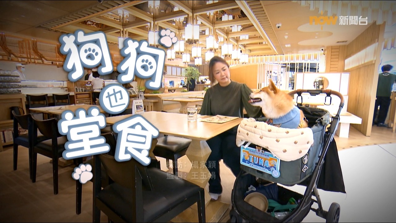 【經緯線】狗狗也堂食