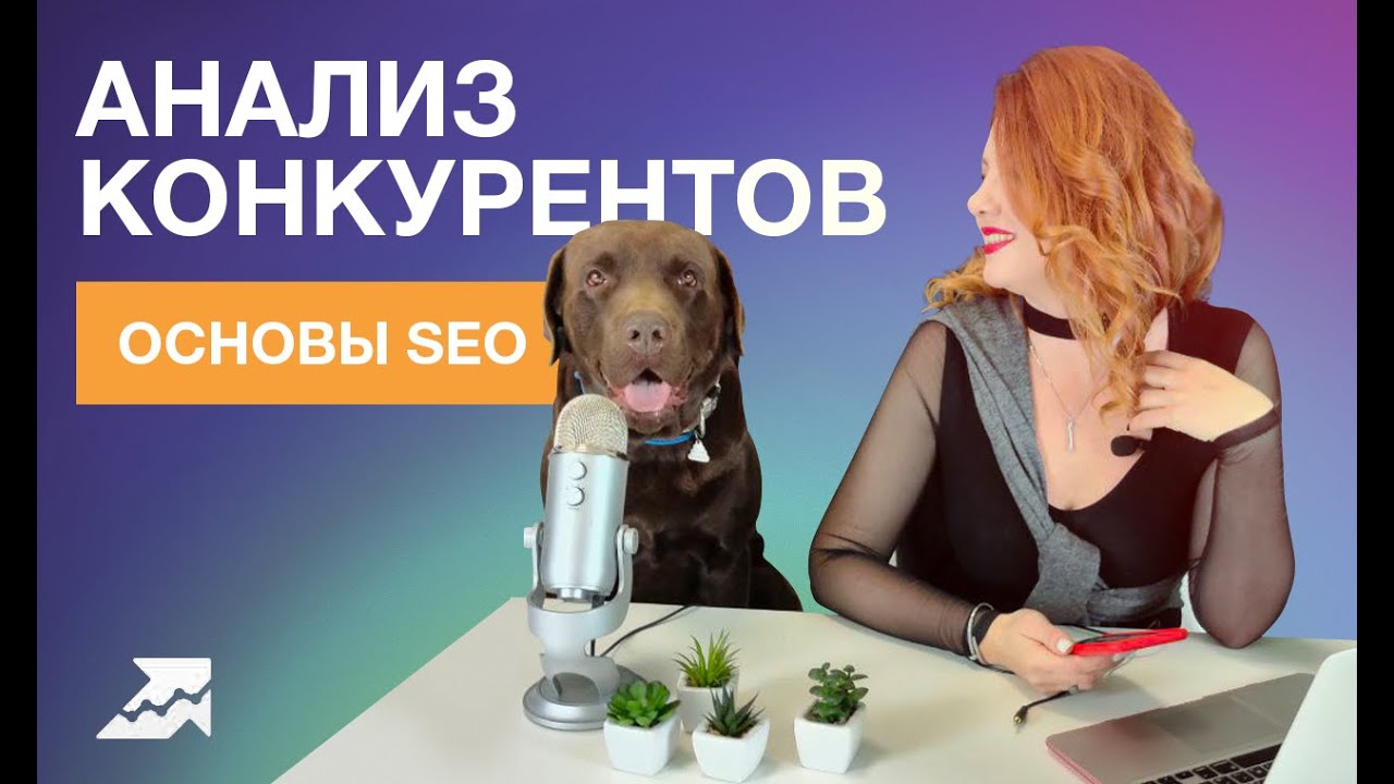Основы SEO: Охота на конкурентов или как успех других принесет пользу вам