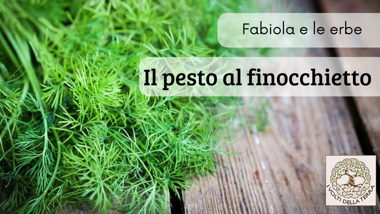 Fabiola e le erbe: facciamo insieme il pesto al finocchietto selvatico