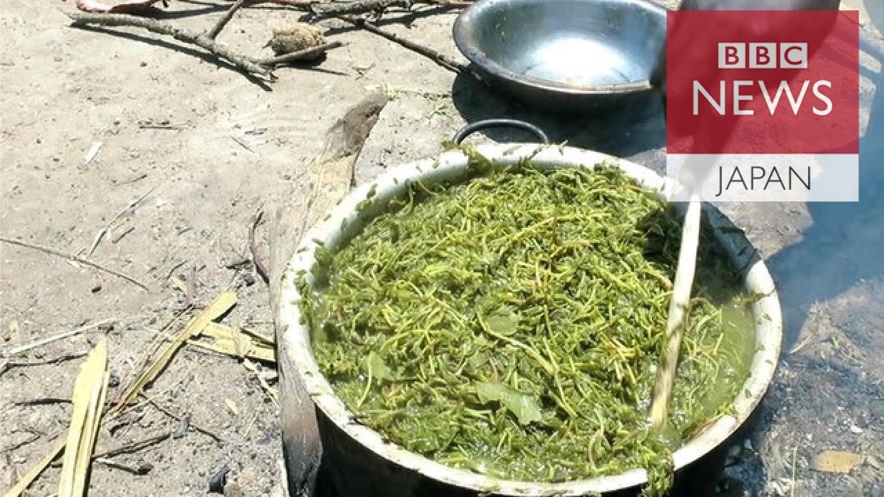 草を食べて腹を満たす人々　内戦続く南スーダンで