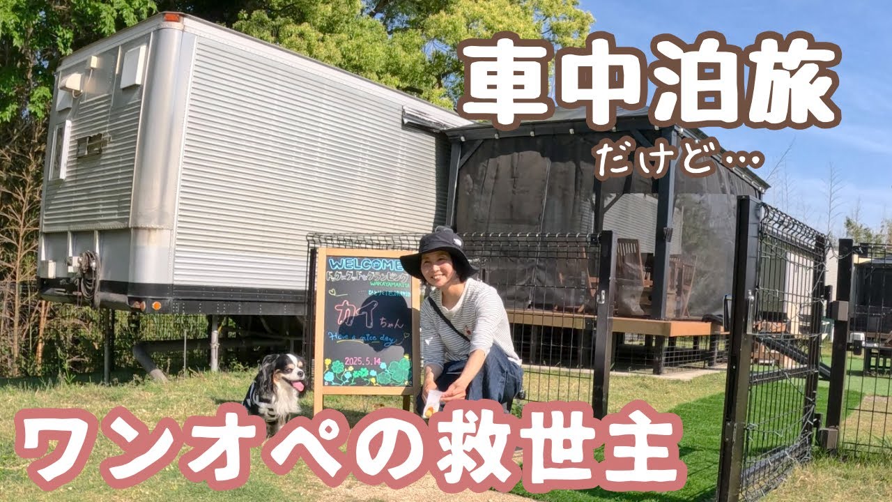 長旅に疲れが出はじめた50代看護師と犬1匹。ドッグにグッドは飼い主にもグッド。贅沢に『ドッグにグッドなグランピング和歌山北』で車中泊の休息をする。
