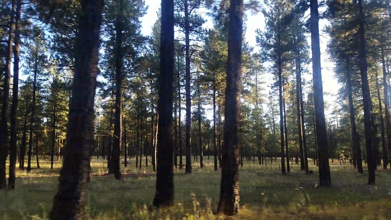 Video of Jemez Falls Campground, NM from Alan B.