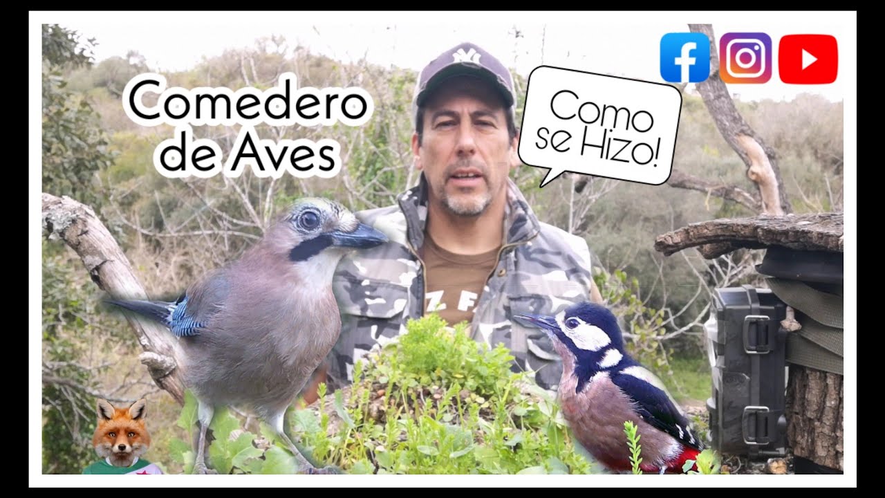 Como hacer un Comedero de aves (Como se hizo el nuestro) #avesdeespaña #fototrampeo #florayfauna