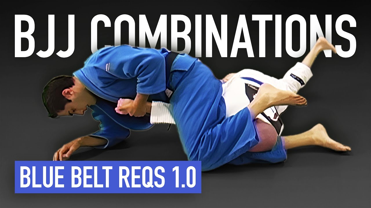 Jujutsu Combinations | From Blue Belt Requirements (2008)