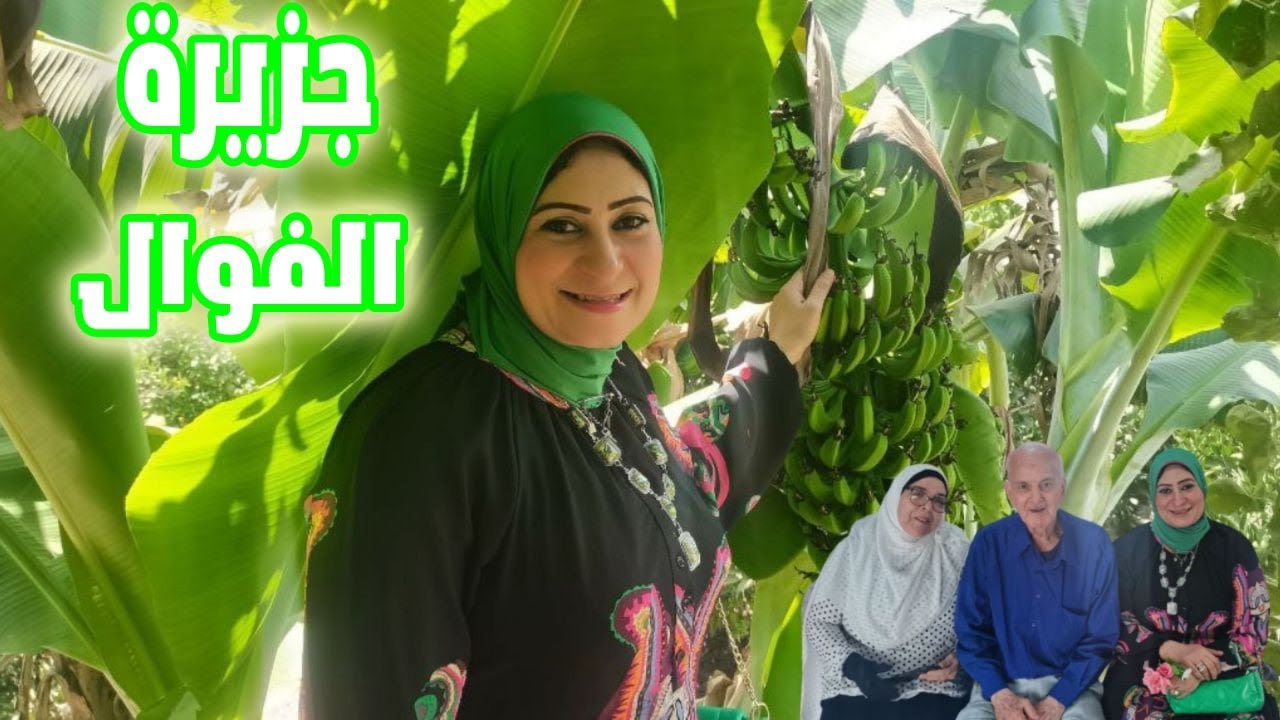 رحلة نيليه لأجمل جزر مصر جزيرة الفوال  في المحمودية بحيرة مع عميد عائله الفوال  الجزء الأول.