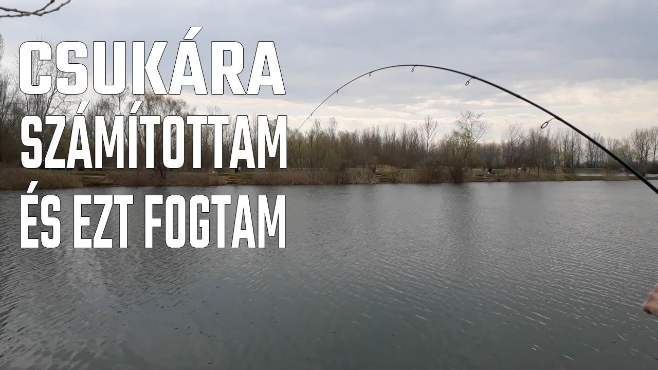 Ezt fogtam csuk&aacute;ra perget&eacute;s k&ouml;zben | Csuka perget&eacute;s