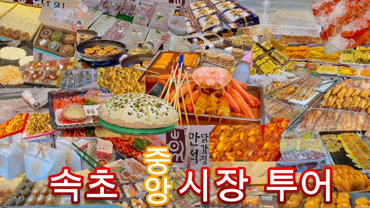 속초 중앙시장 침 흐르는 투어!🤤