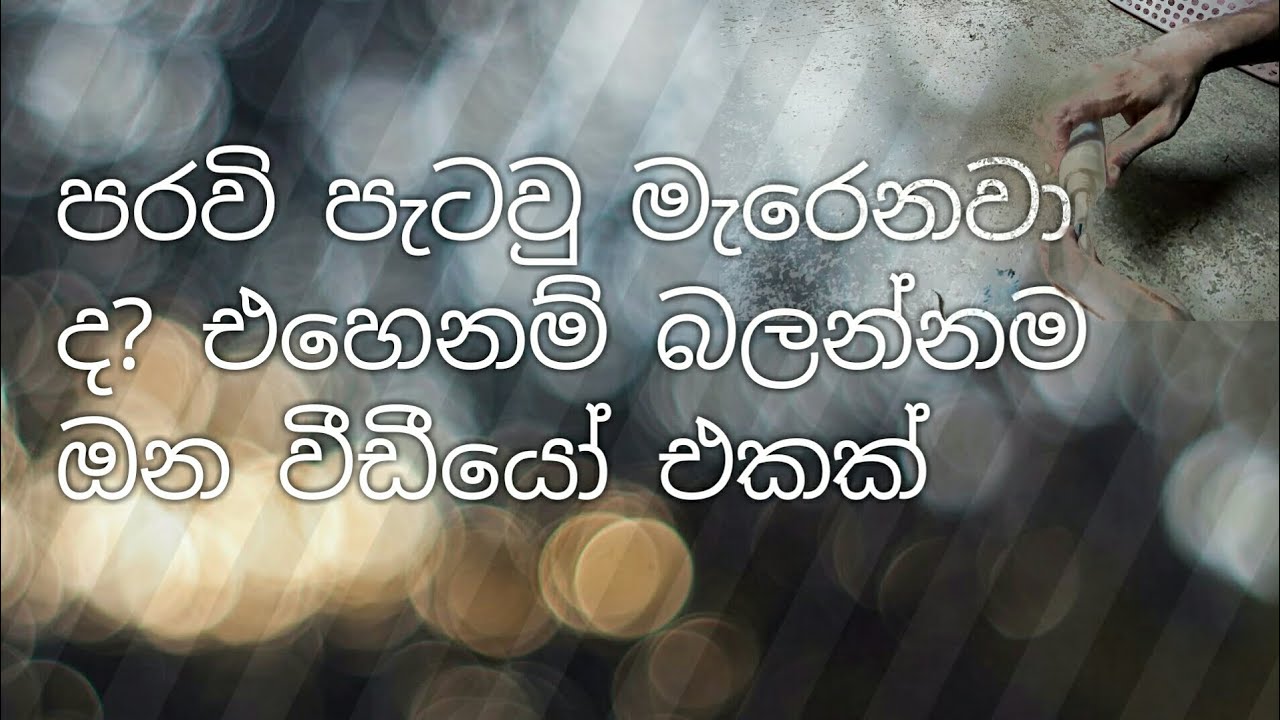 පරවි පැටවු මැරෙනවා ද? පරවි පැටවු හරියට හදමු.