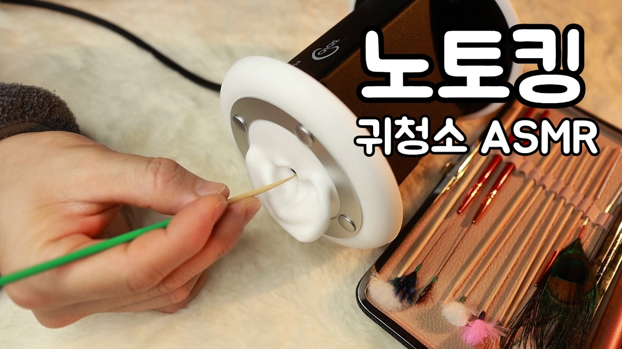 ASMR 귀청소 전문 채널💤 (노토킹)