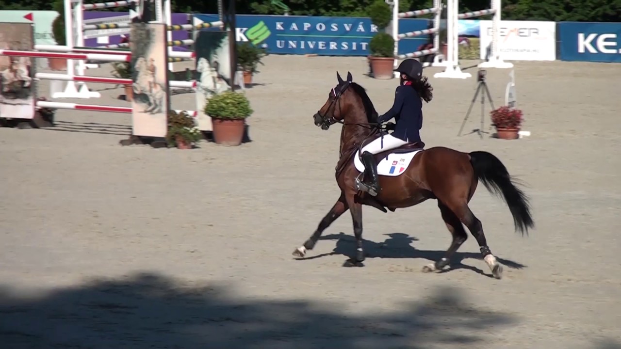 Lebas Charlotte - Quabar Des Monceaux FINAL 2nd - EUROPEAN CHAMPIONSHIPS FOR PONIES 2017 KAPOSVÁR