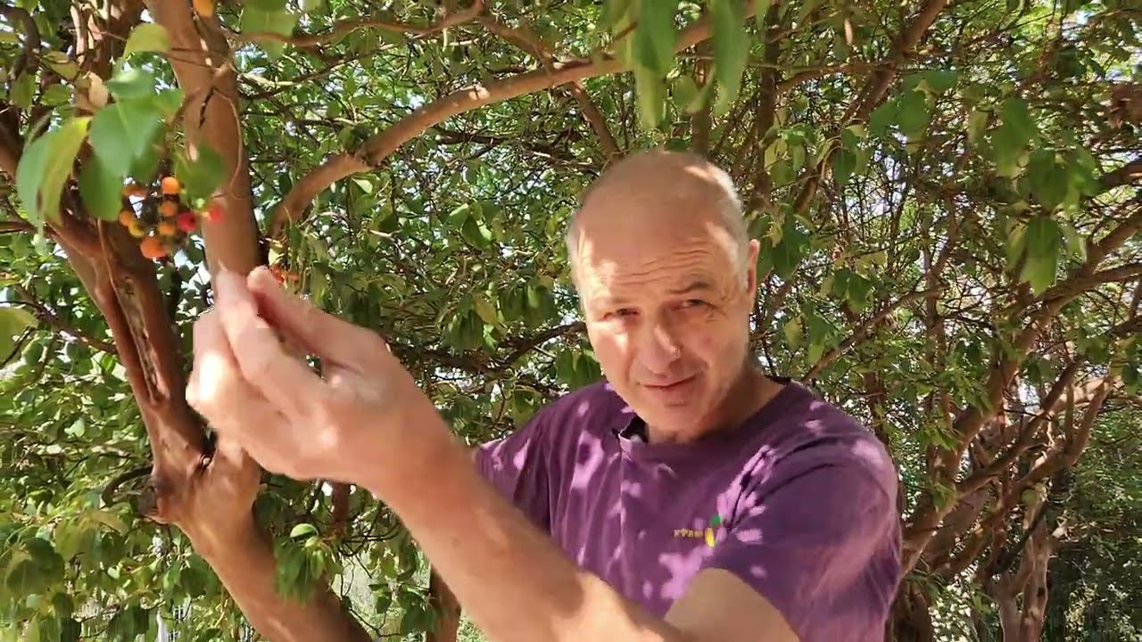 קטלב מצוי- סרטון ראשון בסדרה