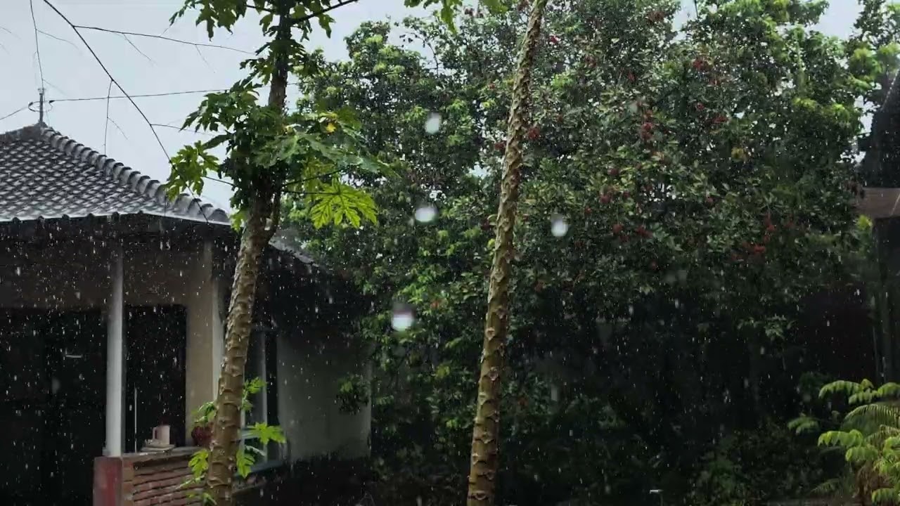 Rain ultimate relaxation
