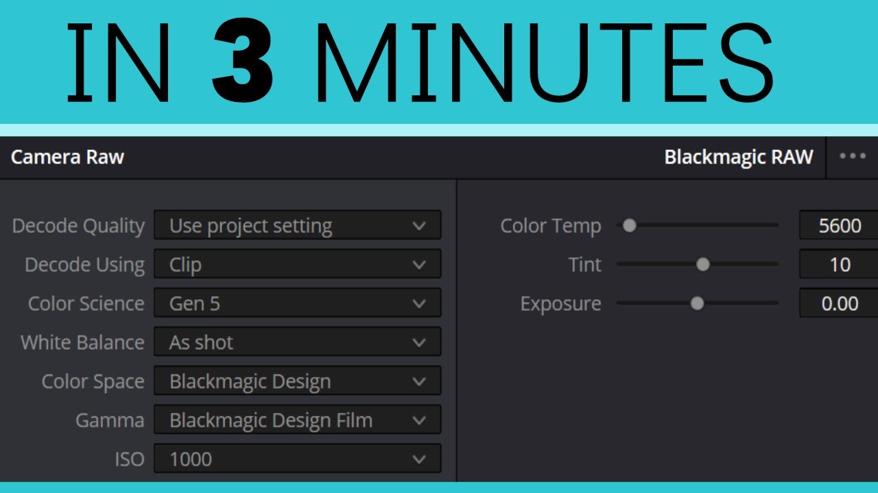 DaVinci Resolve Camera RAW in 3 Minutes