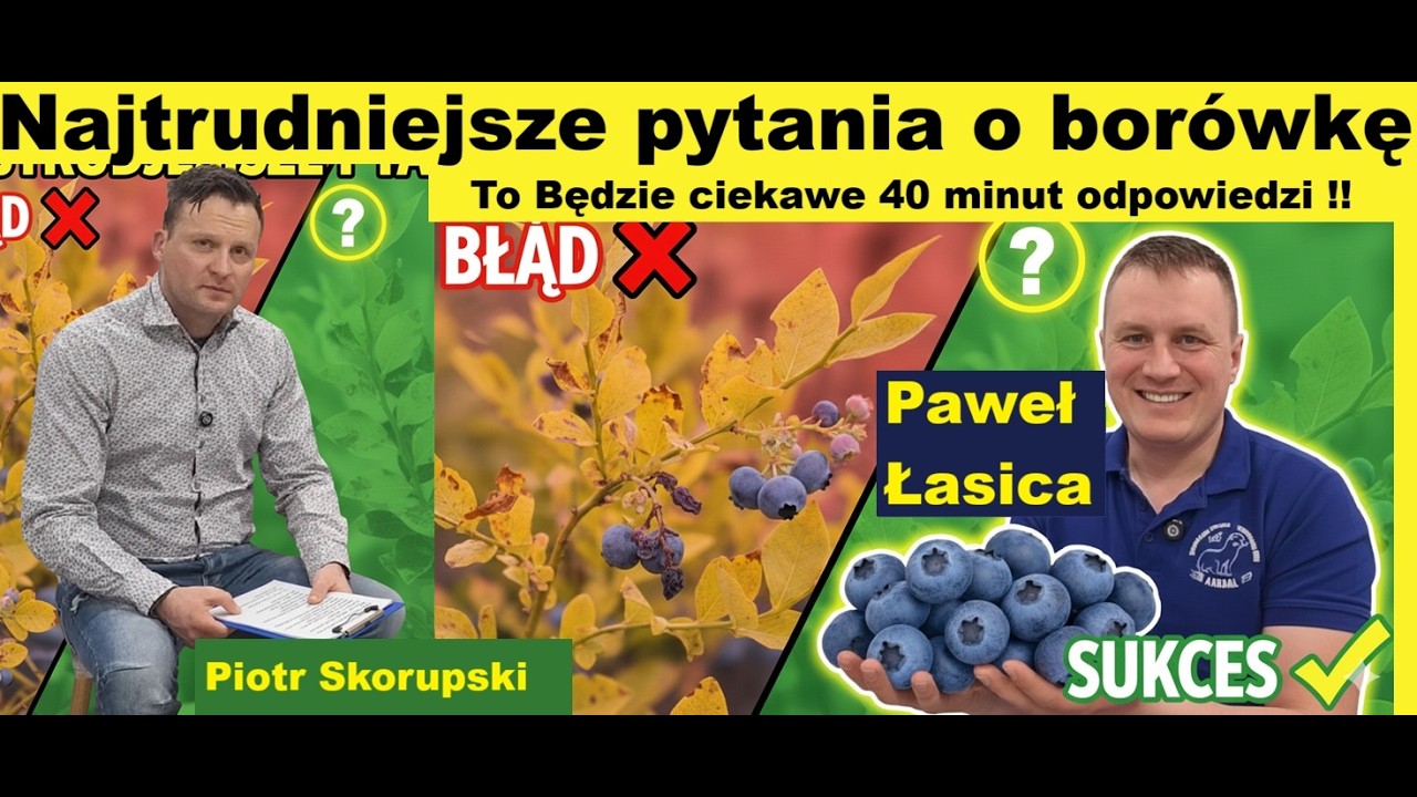 Mączka Bazaltowa pod Borówke ?! NAJTRUDNIEJSZE PYTANIA CZAS ROZPOCZĄĆ !! Paweł Łasica wyjaśnia błędy