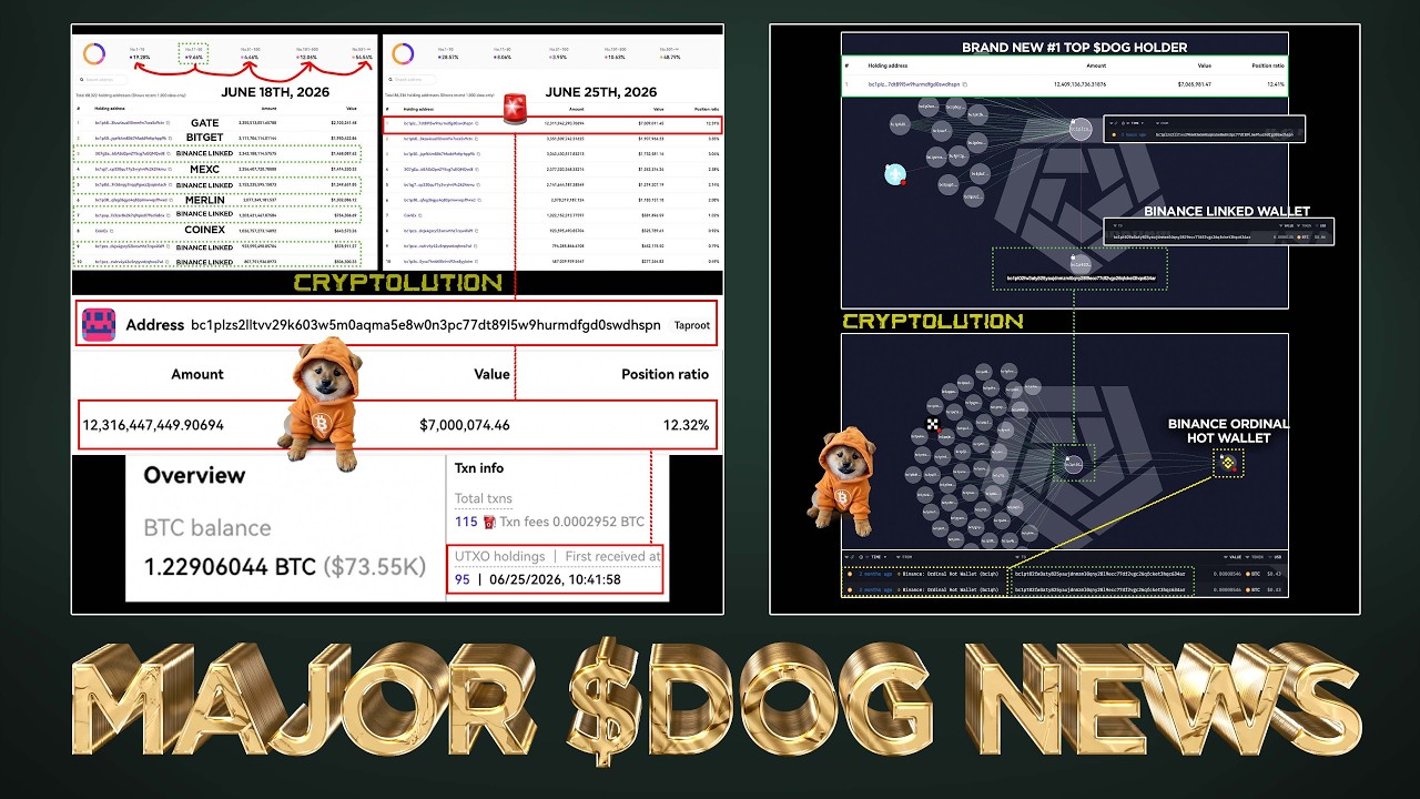 🚨BREAKING: Brand New #1 Top $DOG Holder (Major Exchange?) 👀
