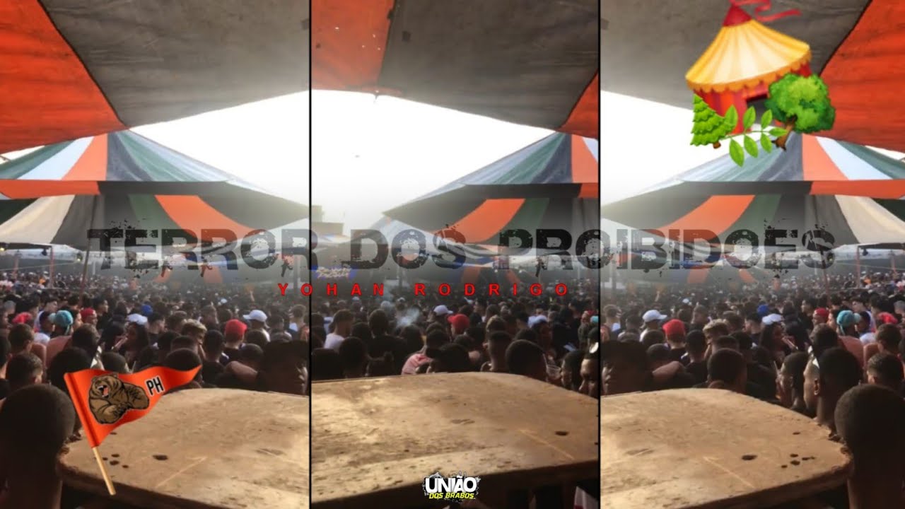 20 + 6 MINUTINHOS DE SEQUÊNCIA DO BAILE DA SELVA 2022 (( ELBINHO DA PENHA )) COMPLEXO DA PENHA