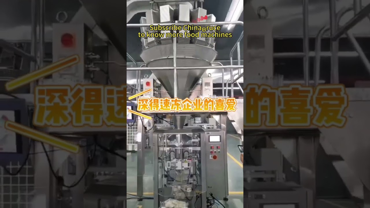Frozen food packing machine / frozen dumplings packing / ChinaBruce