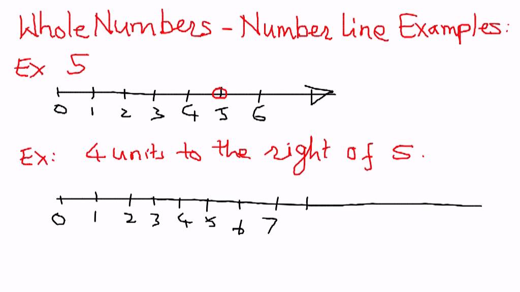 Whole Numbers-Number Line Examples