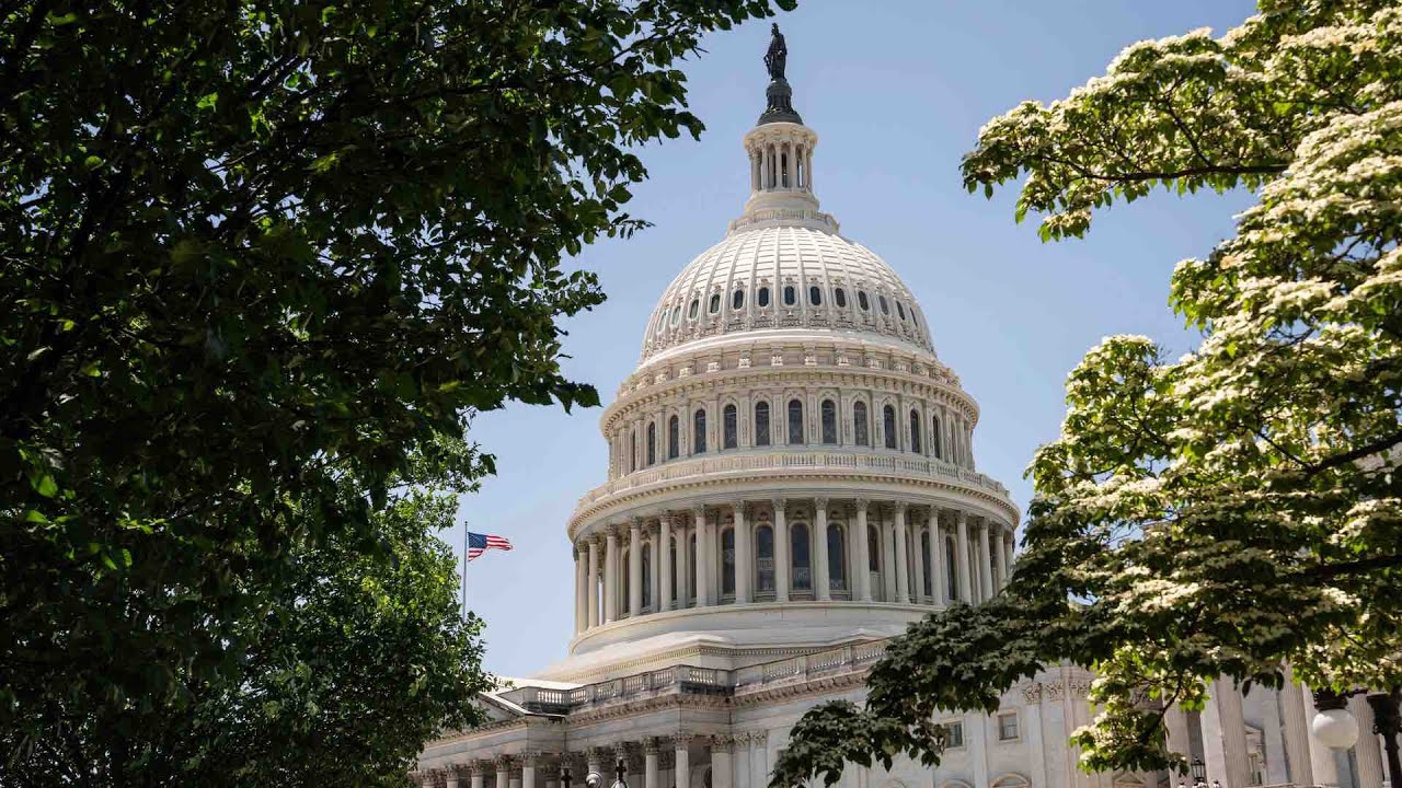 LIVE: House Oversight Committee Holds Hearing With Sanctuary State Governors