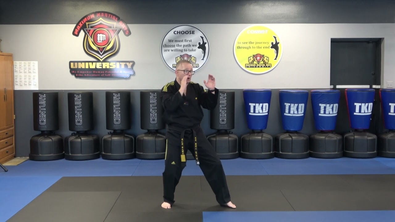 How to do a Palm Strike for White Belts