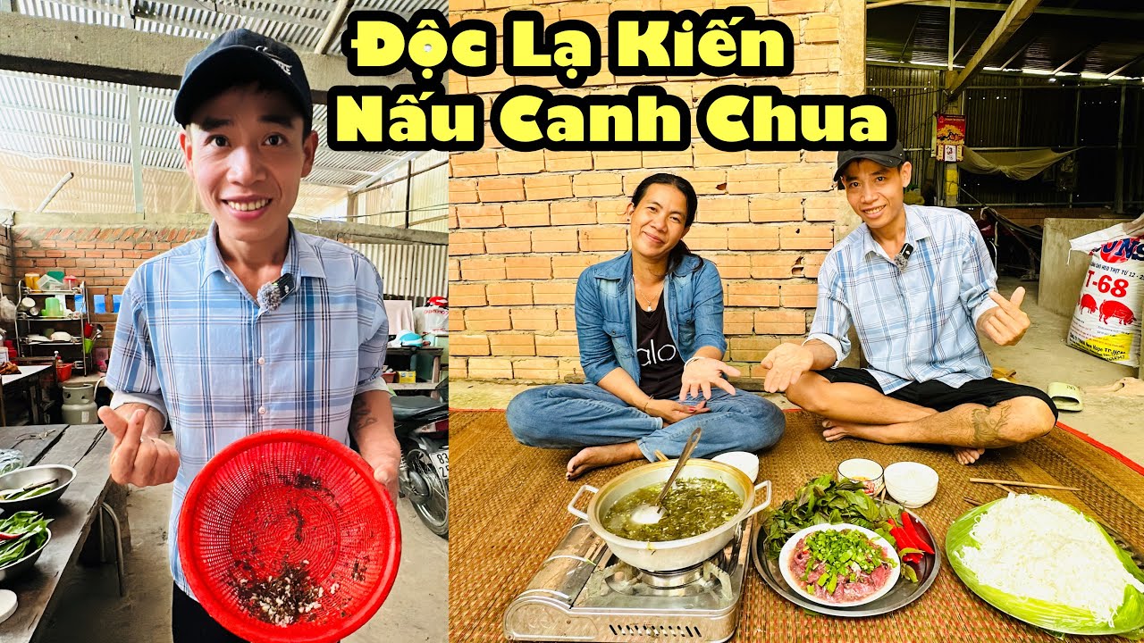 Bất ngờ chung đi bắt con kiến đem về nấu canh chua thịt trâu rất độc lạ quy vừa ăn vừa la ￼
