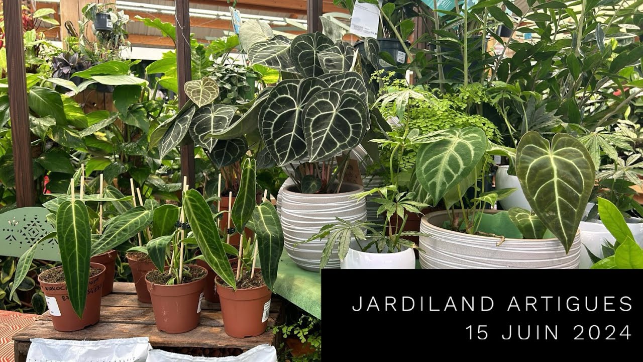 JARDILAND ARTIGUES 15/06/24