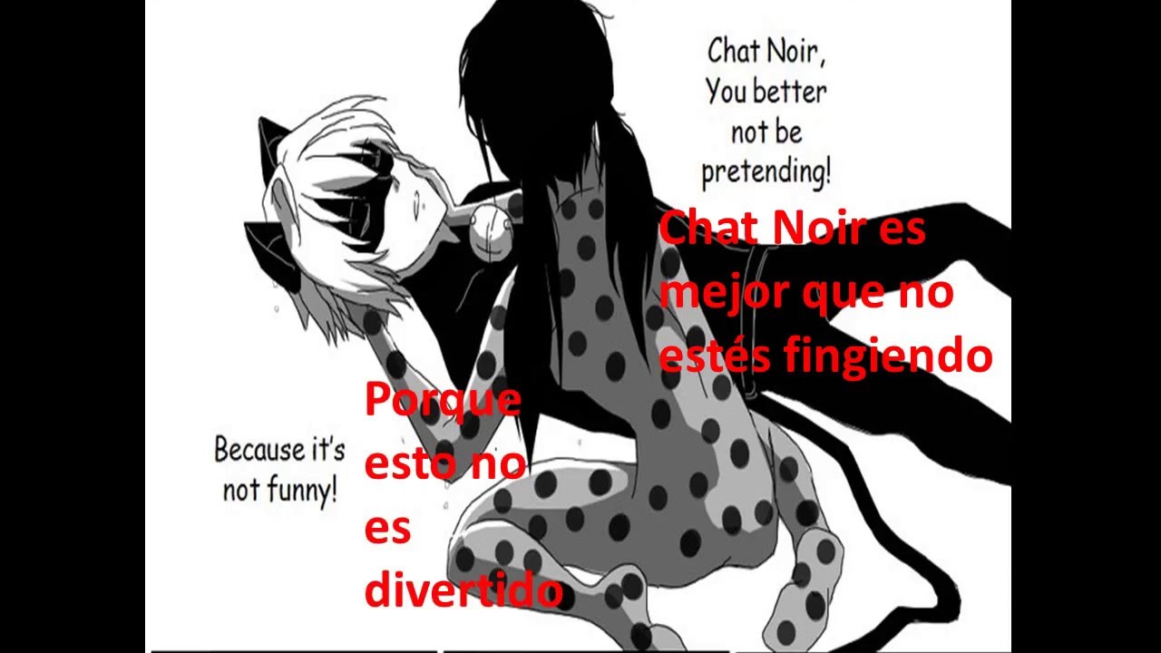 ladybug x chat noir