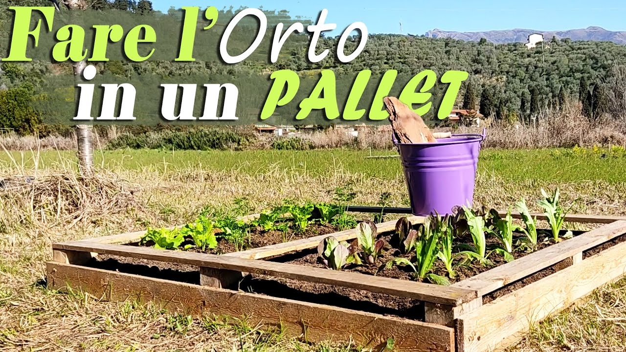 L'ORTO in un PALLET | COLTIVARE un PICCOLO ORTO con il RICICLO creativo | NO DIG RAISED BEDS GARDEN