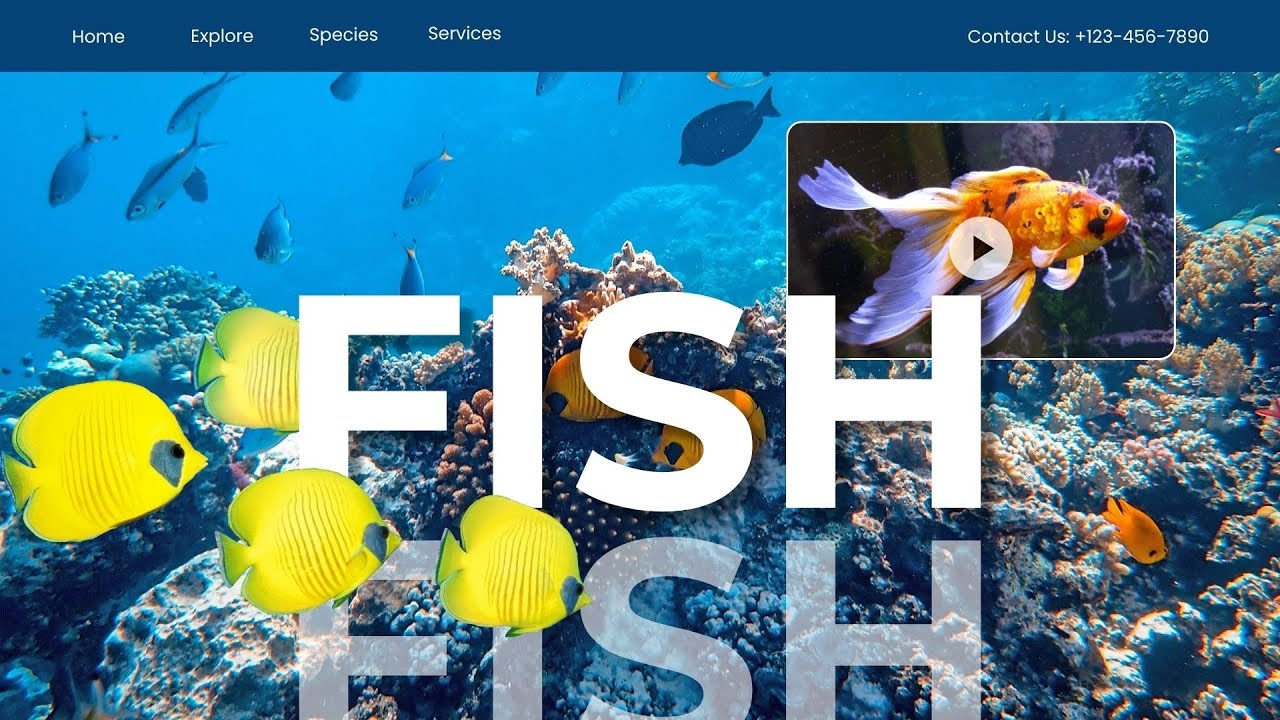 #Attractions of Dubai diera aquarium #fish market 