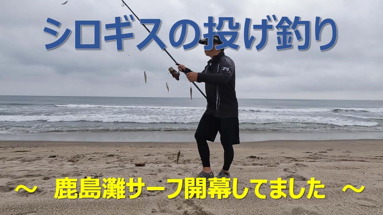 【シロギスの投げ釣り】鹿島灘サーフ開幕しているようでした。