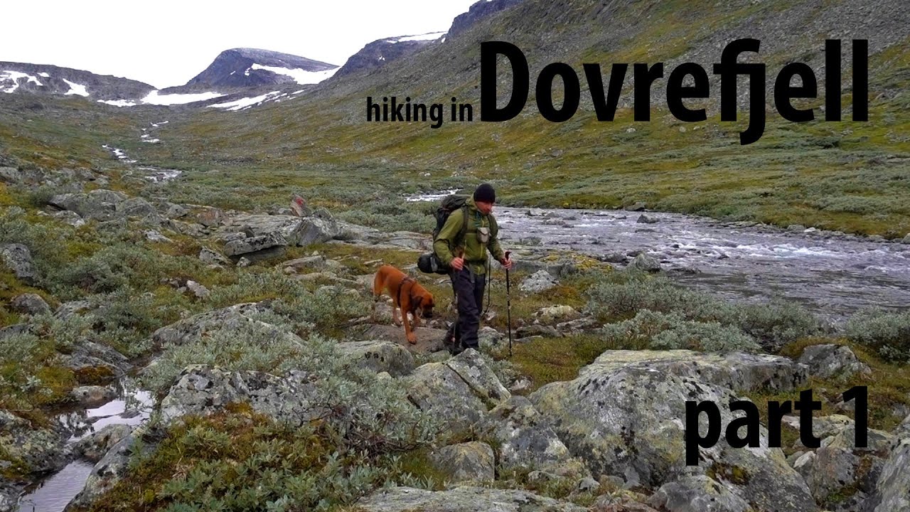 Hiking in Dovrefjell - Backpacking with dog in Norway - part 1