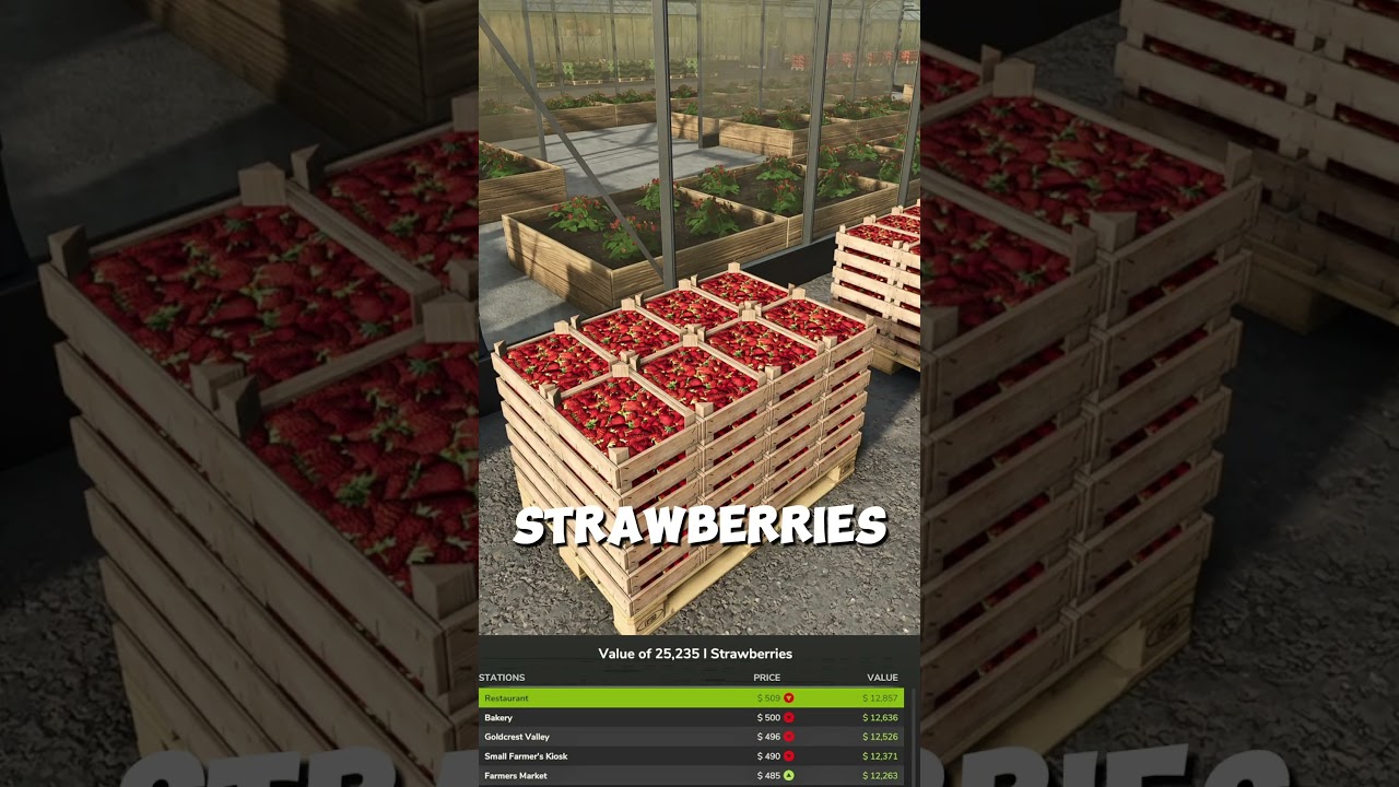 УДВОИТЕ СВОЮ ПРИБЫЛЬ В FARMING SIMULATOR 25!!!