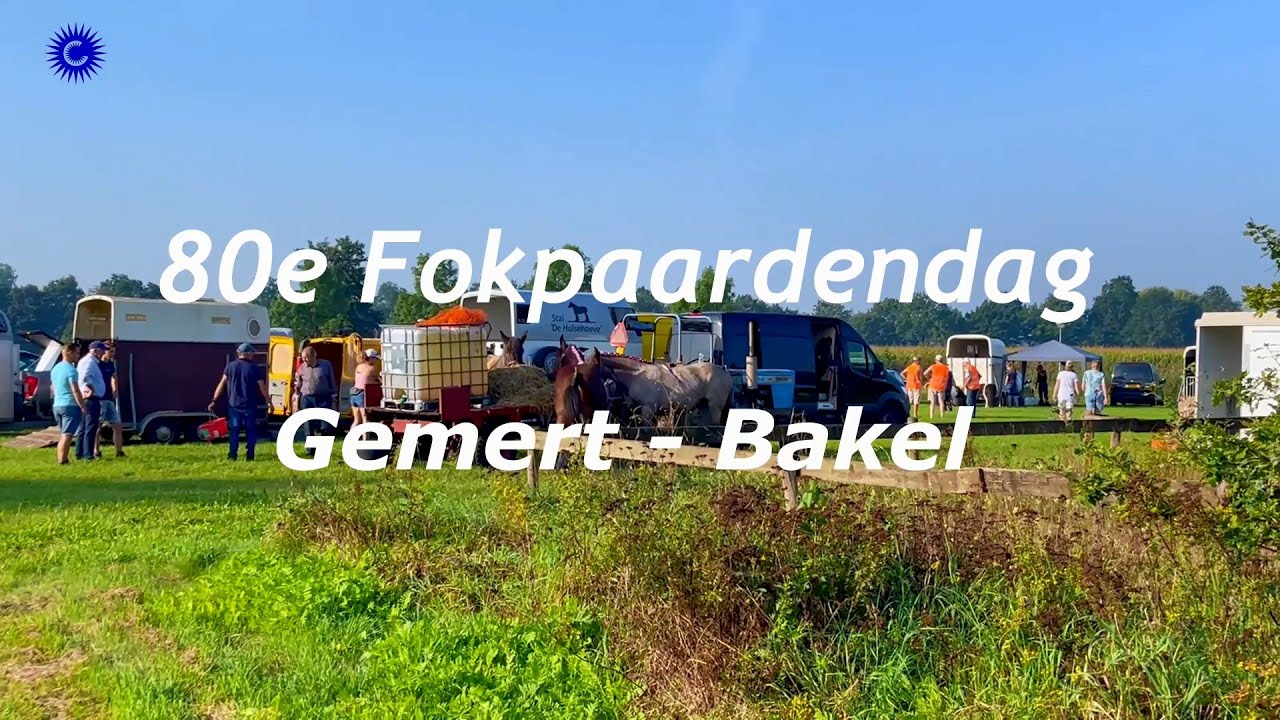 2023 09 10 80e Fokpaardendag  Gemert Bakel