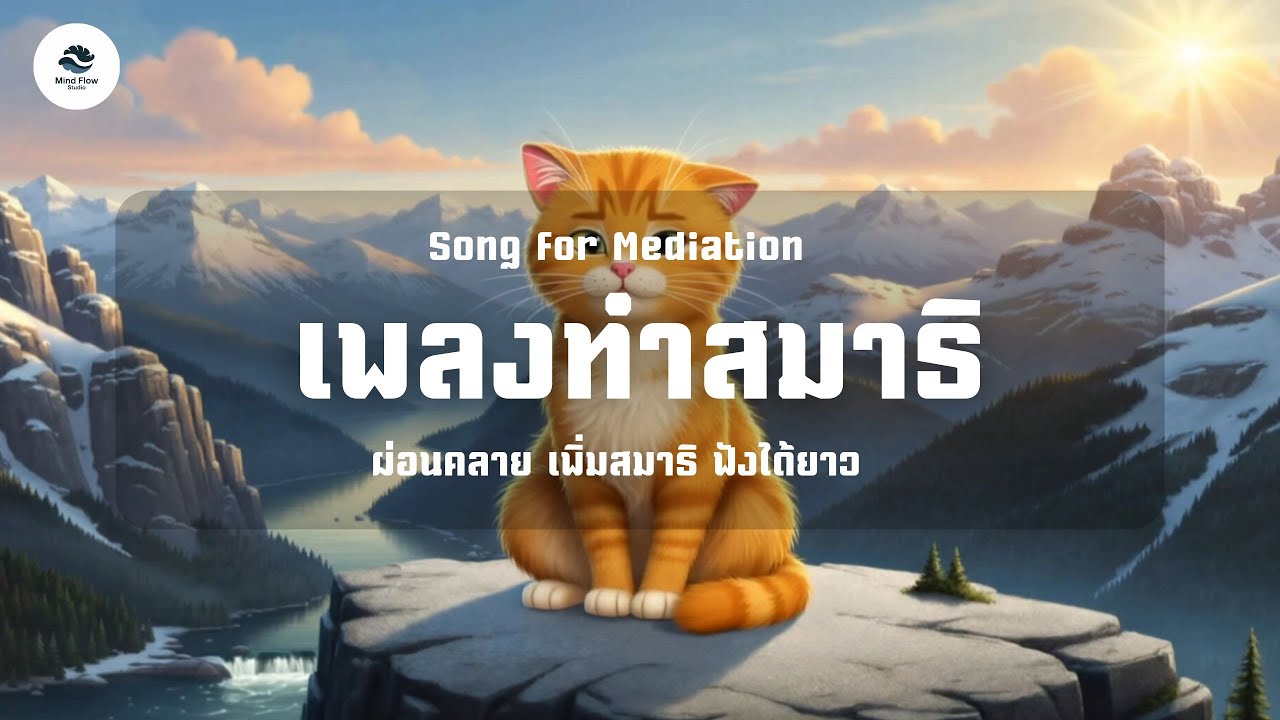 Cat Meditation - เพลงทำสมาธิ ช่วยสร้างบรรยากาศให้สงบ ผ่อนคลาย เพิ่มสมาธิ ฟังได้ยาว ช่วยคลายเครียด