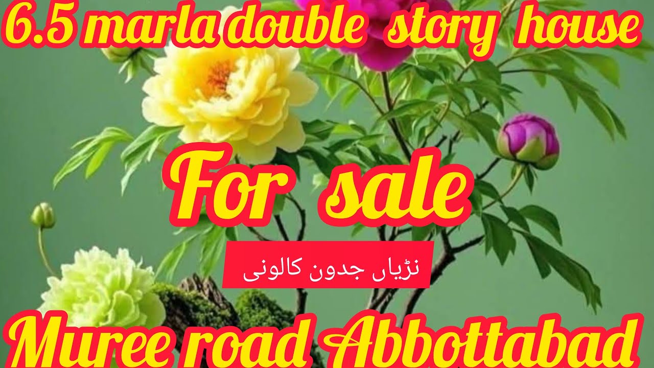 6.5 Marla Double Story House For Sale Nariyan Muree Road Abbottabad 