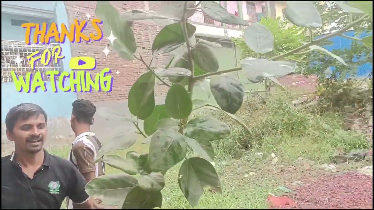 World 🌎 Environment Day Live 2025  | Environment Day plantation live | विश्व पर्यावरण दिवस in hindi