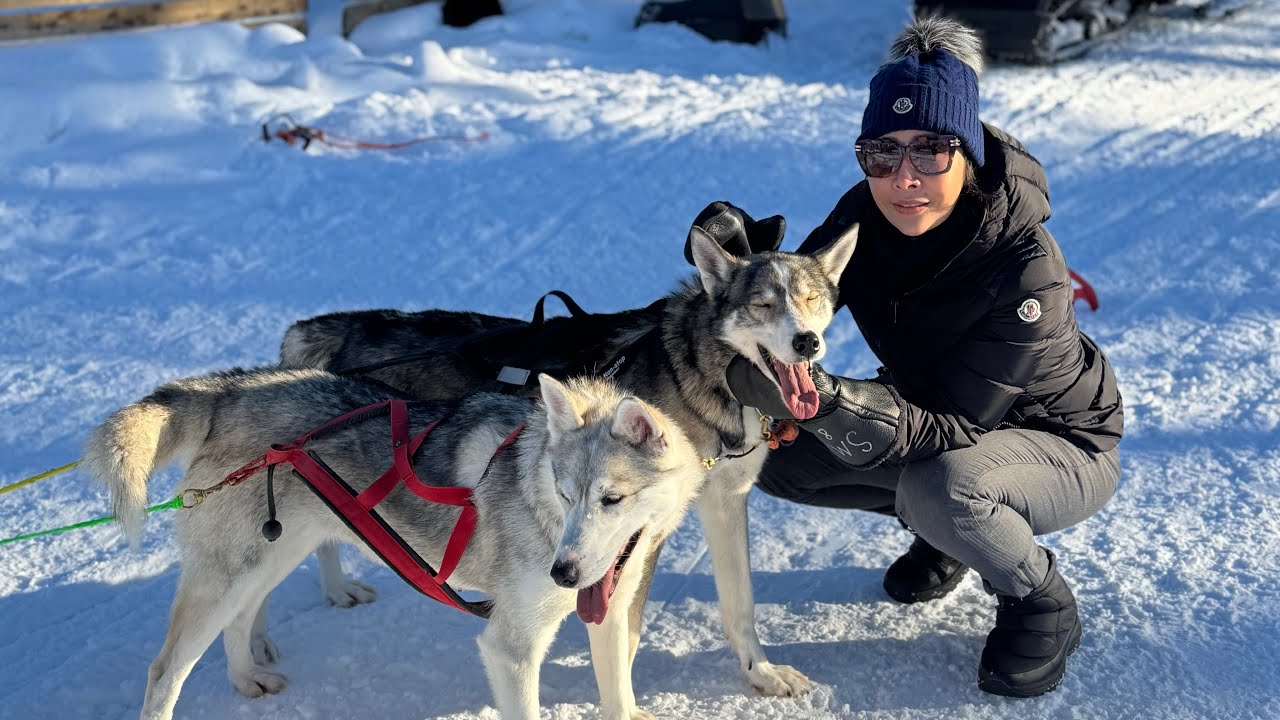 หนาว แต่โคตรฟินกับ Husky in Lapland 
