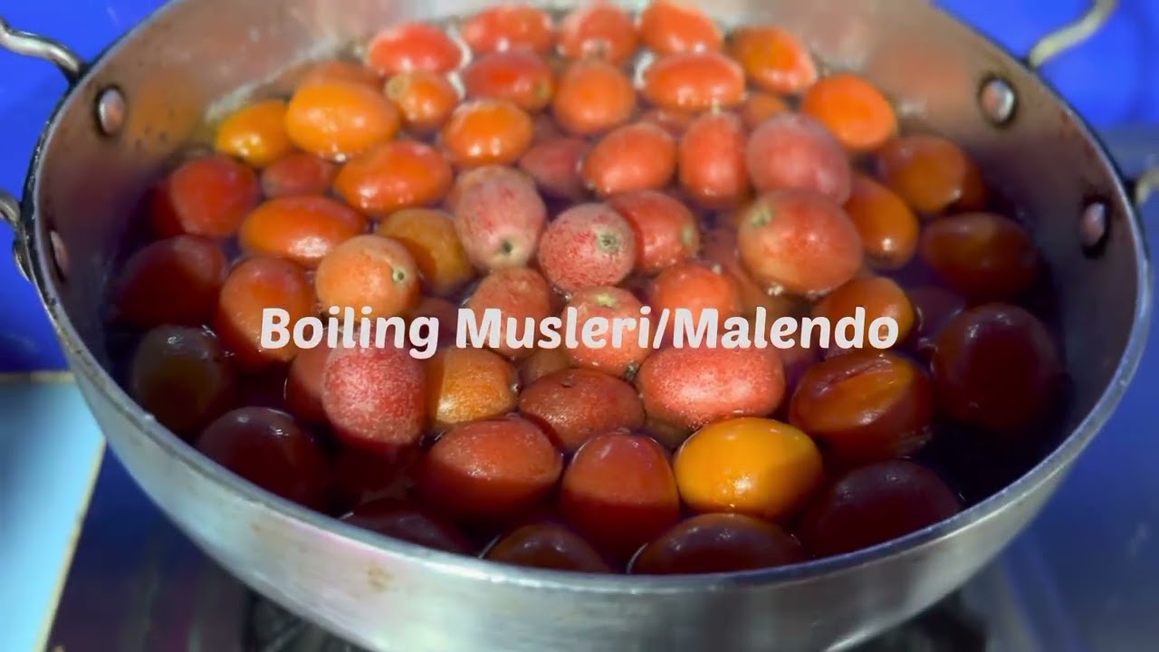 Musleri/Malendo Aachar 🍒 (Himalayan Silverberry)
