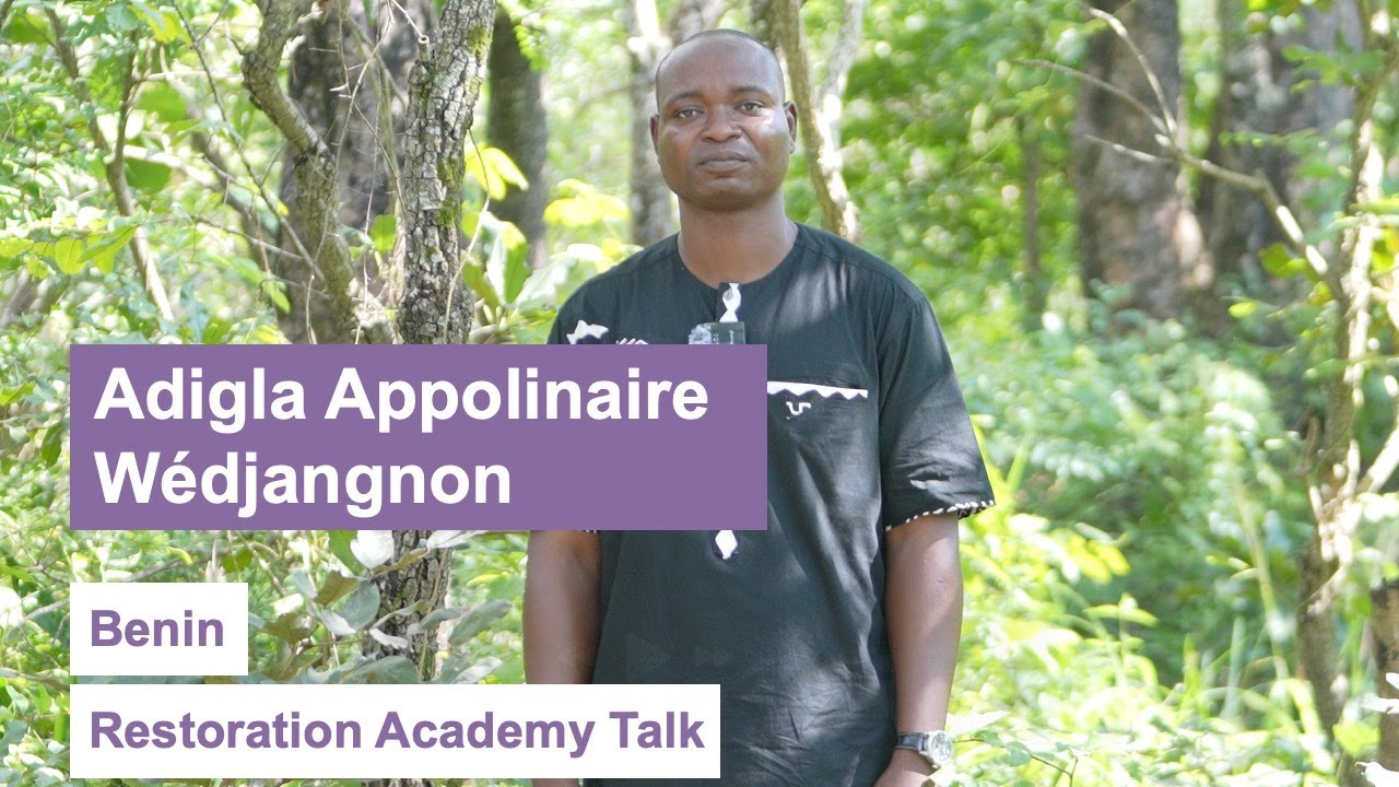 Restoration Academy Talk: Restoring the African Black Walnut through Science and Tradition (Benin)