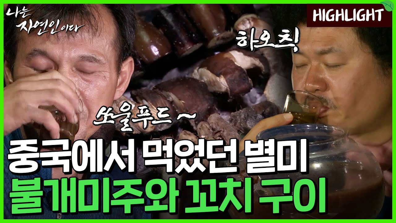 중국 텐진에서 자연까지! 자연인이 맛본 인생의 참맛｜자연인 하이라이트 202회