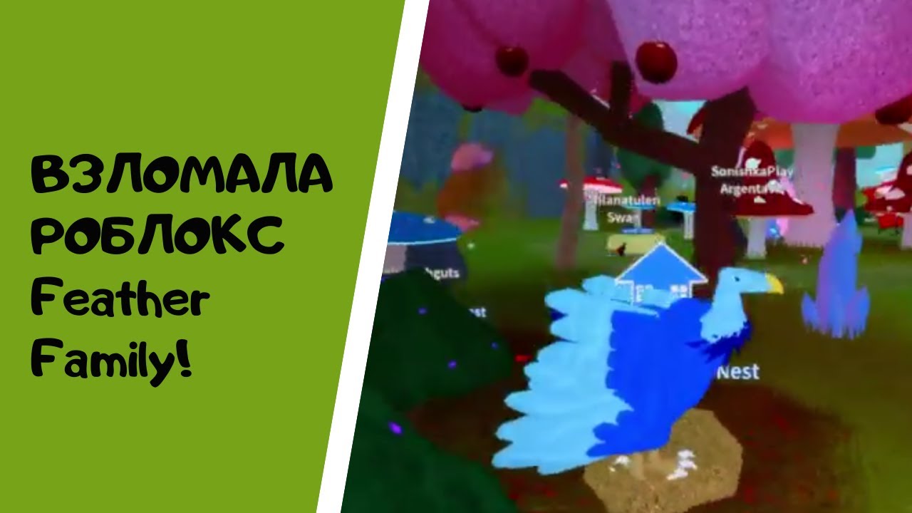 Сонишка ВЗЛОМАЛА игру Роблокс Feather Family и КУПИЛА РЕДКУЮ ПТИЧКУ!