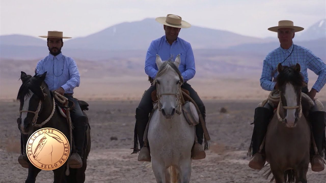 Cap437 El Caballo Chileno, la travesía por el desierto de Atacama