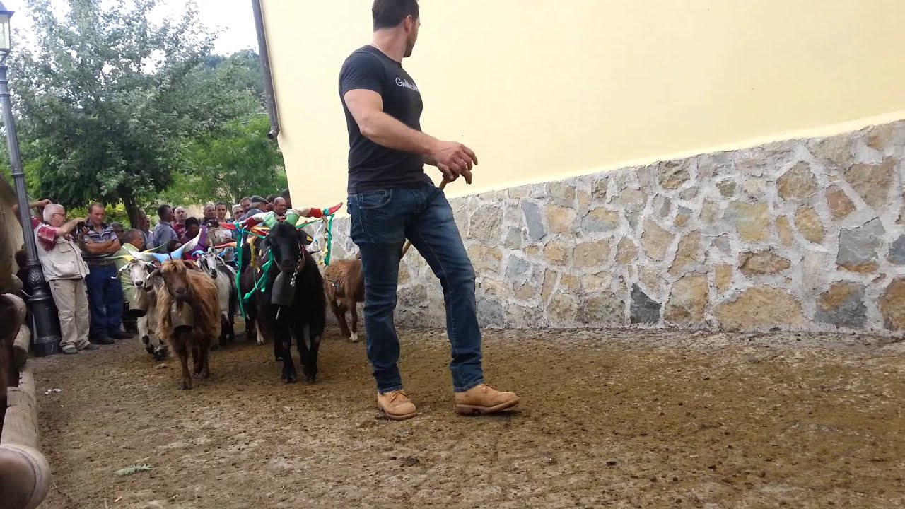 Turniata San Vito 2014 Ricigliano
