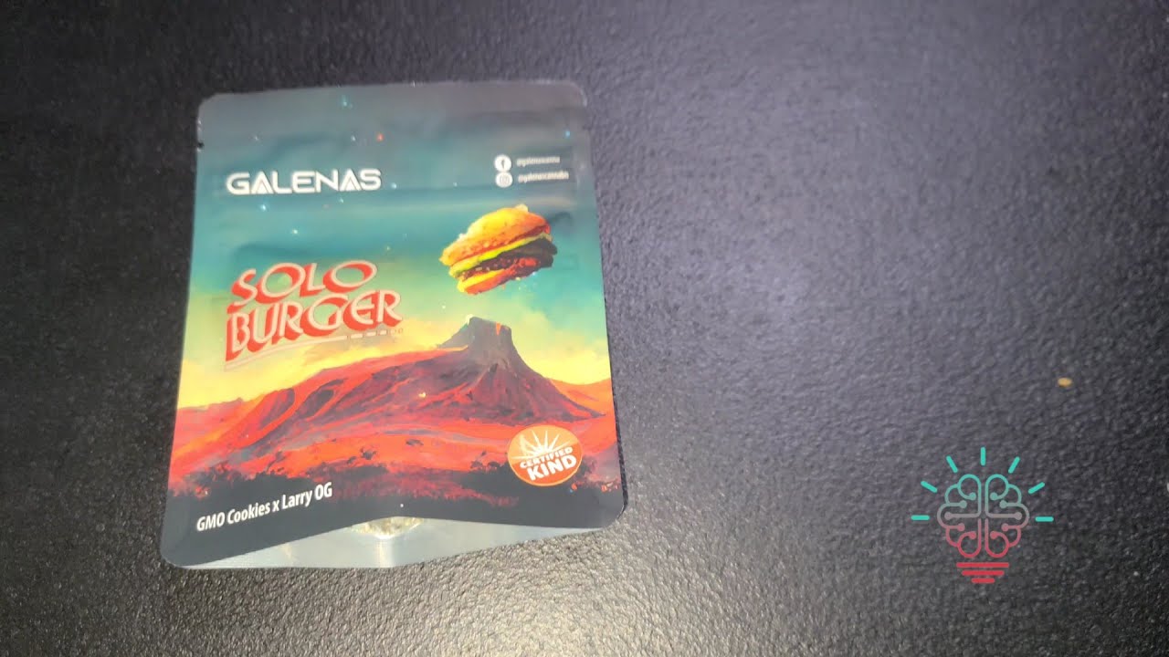 Solo Burger x Galenas Review