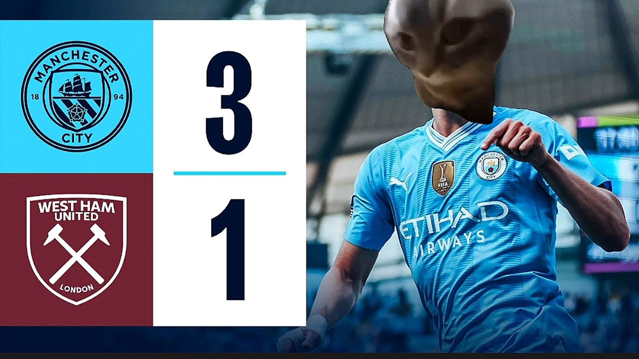 CAT MEMES: Manchester City 3-1 West Ham | Premier League Highlights