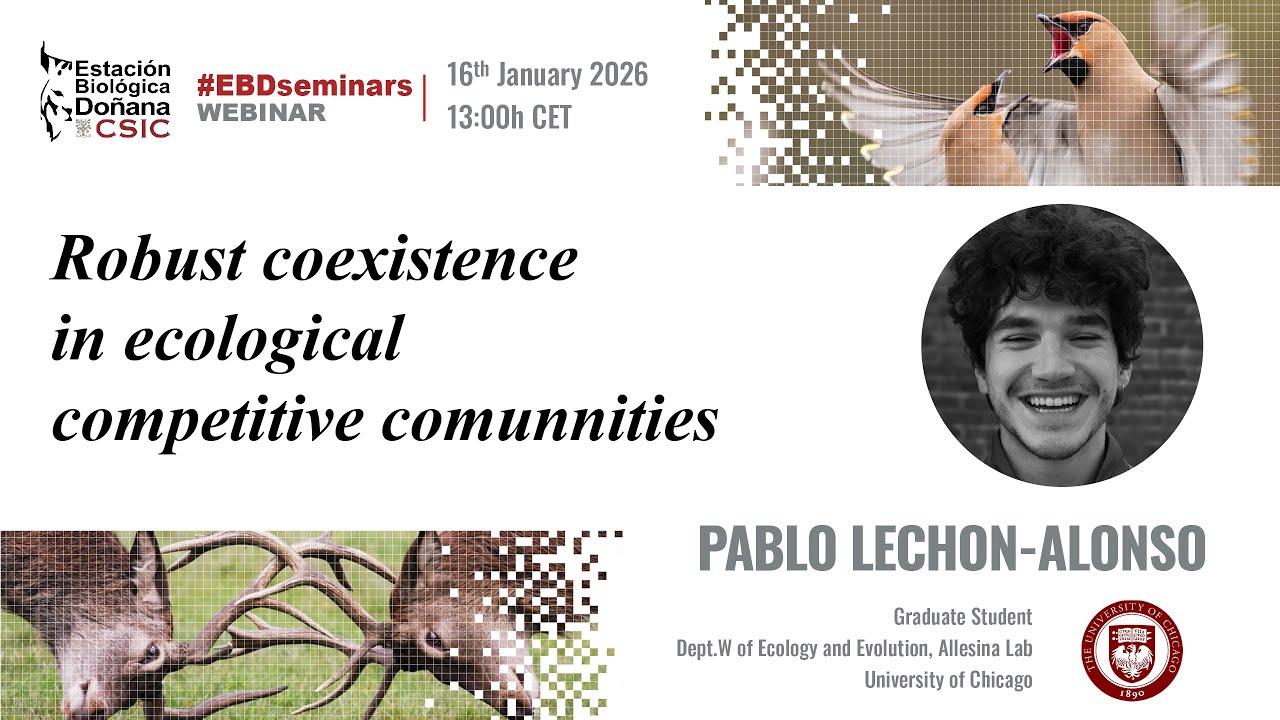 EBD Seminars | Pablo Lechon-Alonso